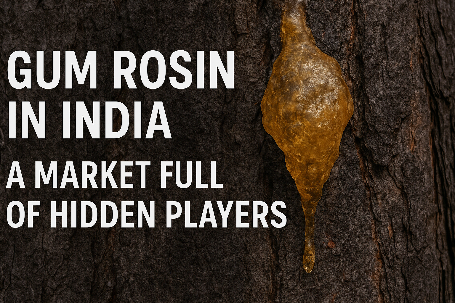 Gum Rosin In India